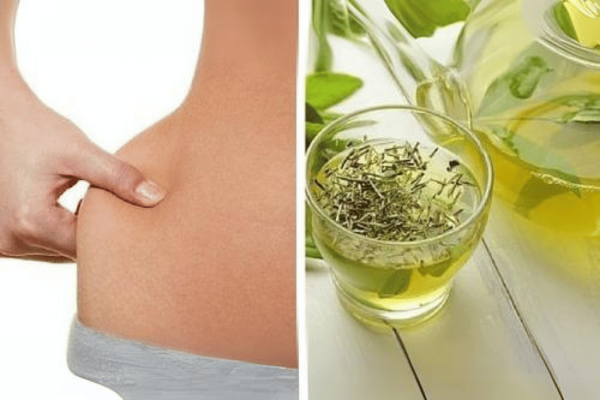 grüner tee abnehmen